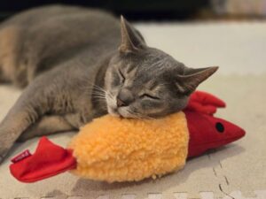 虹色ハートクリエイター、カラフルドロップなおみ、人生のプラス貯金キャンペーン