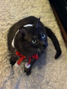 虹色ハートクリエイター、カラフルドロップなおみ、人生のプラス貯金キャンペーン